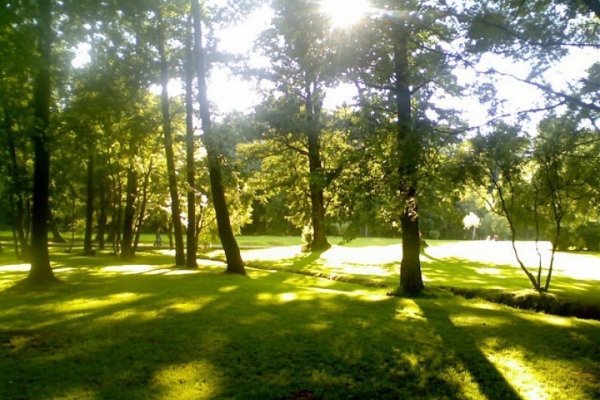 Летнее небо