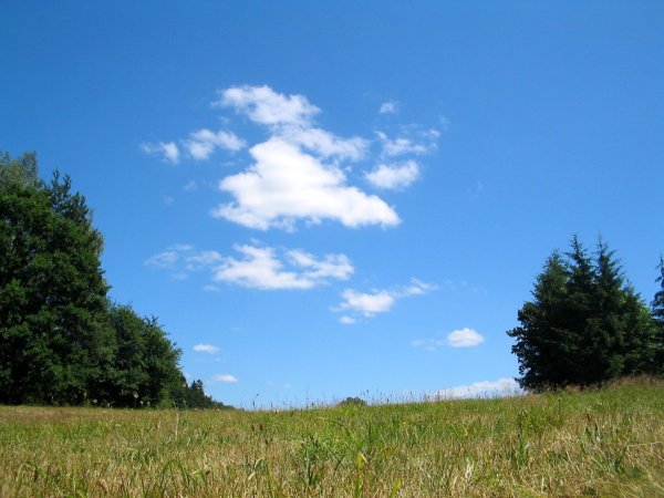 Лето июль природа