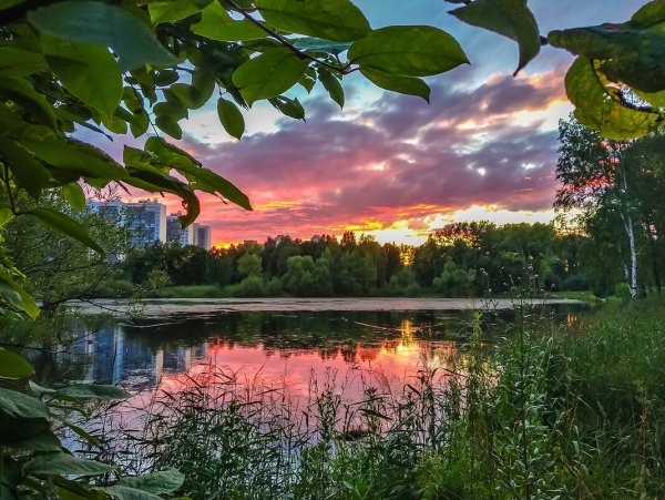 Природа вечер