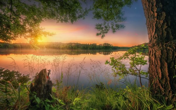 Пейзаж вечер