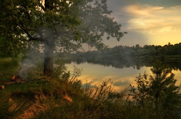 Летом в поле