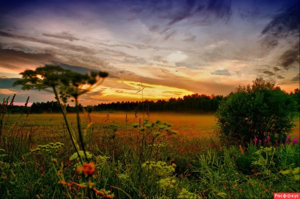 Летний закат