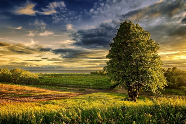 Природа вечер