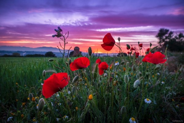 Закат на озере
