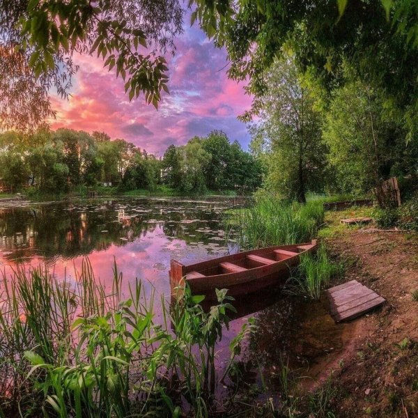 Природа вечер