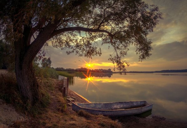 Север Гансовский тропинка в поле