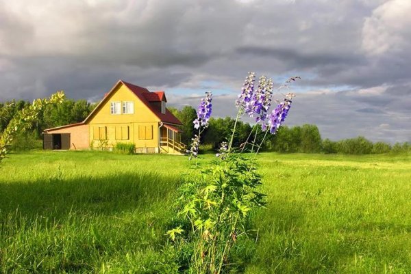 Деревенский домик летом