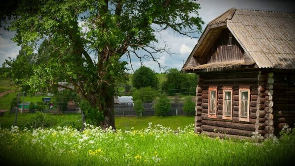 Летние пейзажи маслом живопись деревня Владимир Жданов