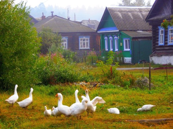 Русская деревня