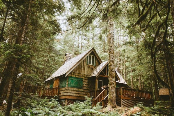 Друскининкай лес избушка