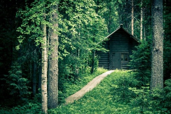 Маленькая избушка в лесу