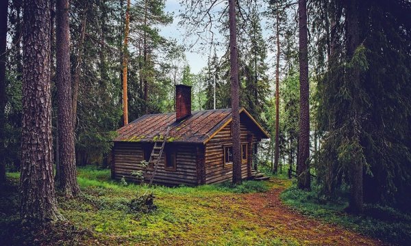 Хижины в США