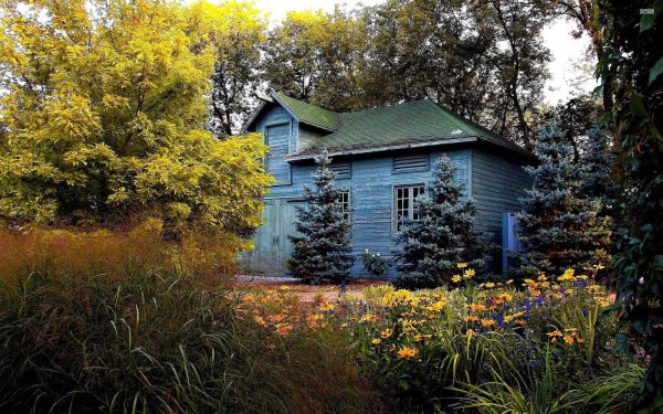 Избушка в лесу