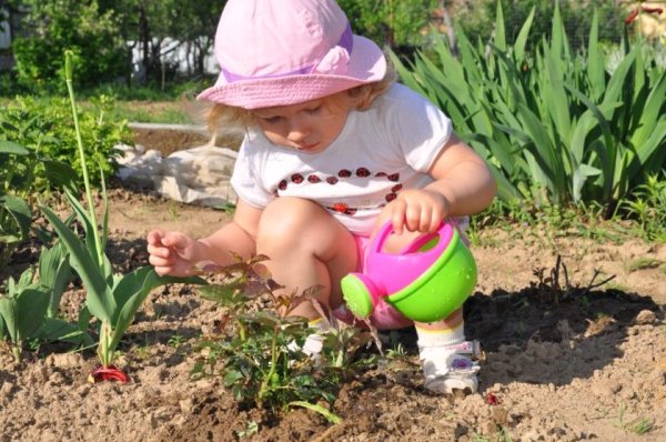 Лето в деревне дети