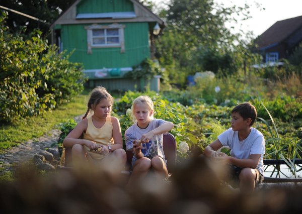Ребенок на природе на даче