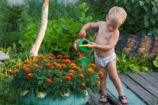 Дети летом на даче