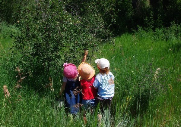 Дача цветы дети