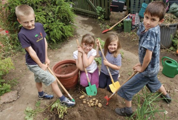 Счастливые дети в деревне