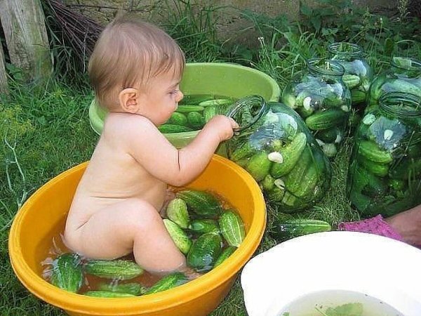 Огород для детей