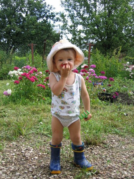 Лето на даче дети