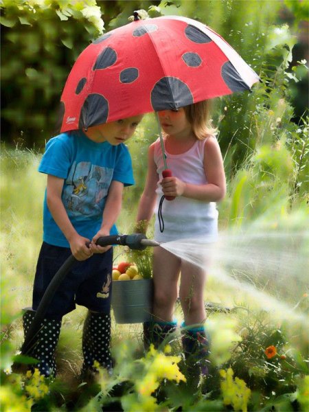 Лето на даче дети