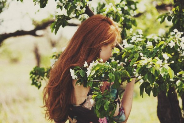 Aurora Wienhold картины