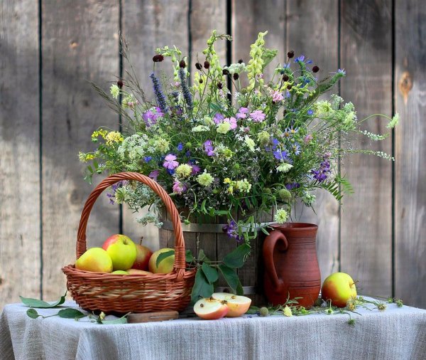 Иван Бунин полевые цветы