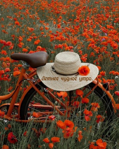 Нежный цветок