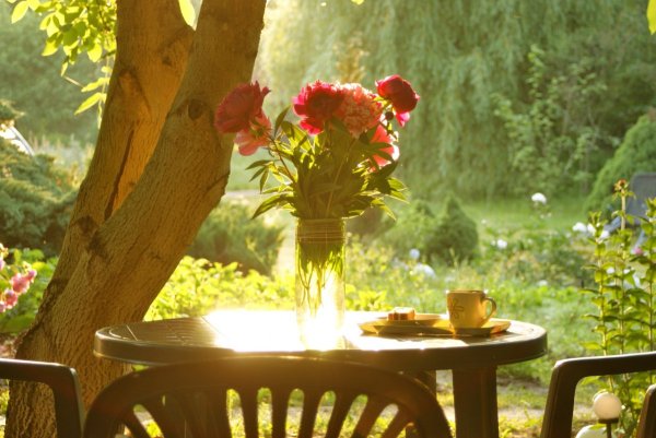 Блондинка с добрым утром