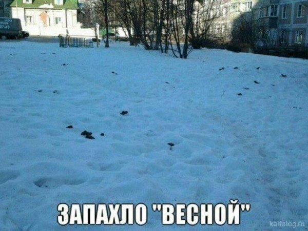 Приколы про Холодное лето