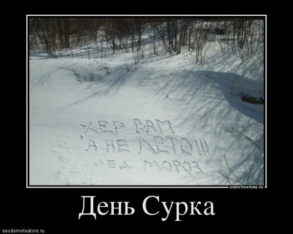 Шутки про снежную весну