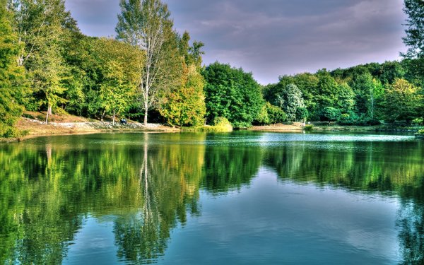 Лесное озеро (Forest Lake)