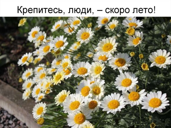 Совсем скоро лето