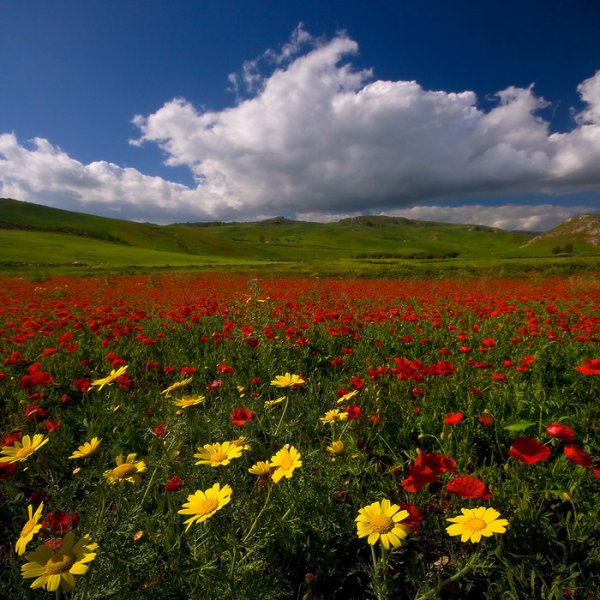 Красивые Луга