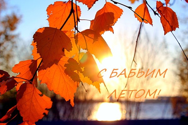 Бабье лето 2021