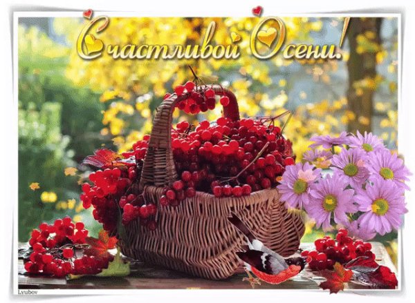 Ябабье лето сдобрым утром