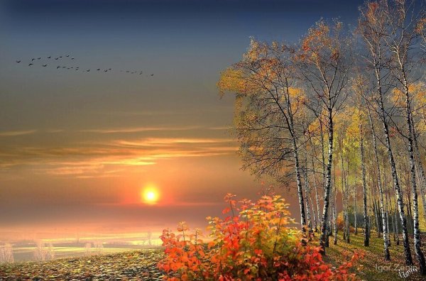 Осенняя Заря