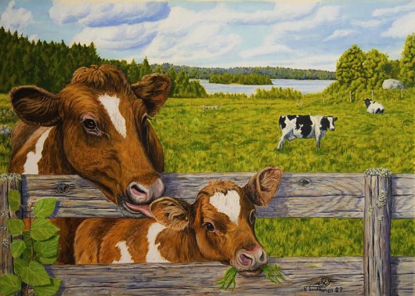 Теленок картина