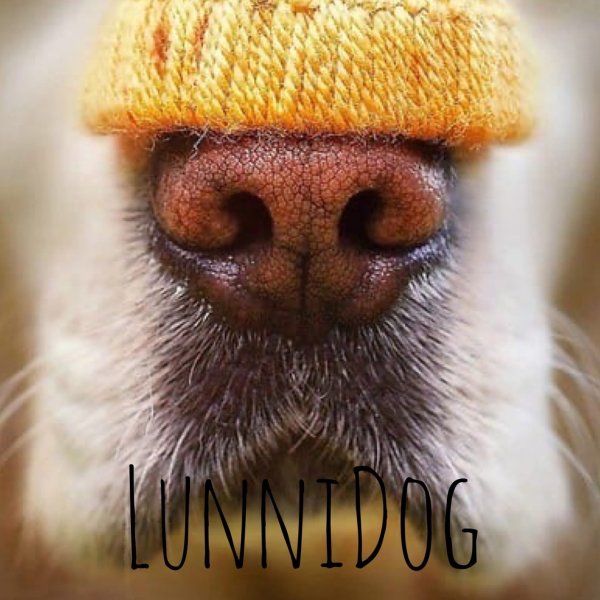 Бабочка на носу