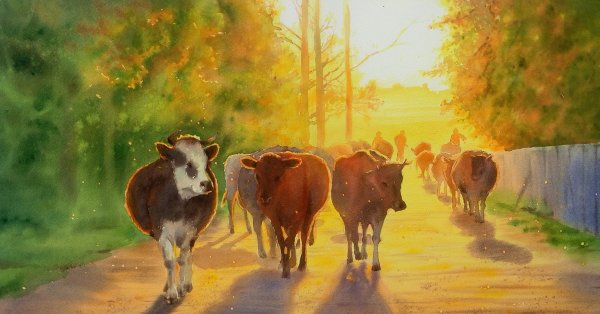 Стадо возвращается в деревню