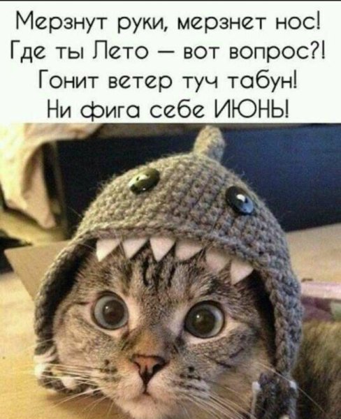 С последним днем лета прикольные