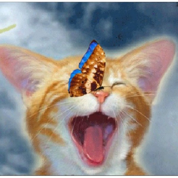 Отличного настроения