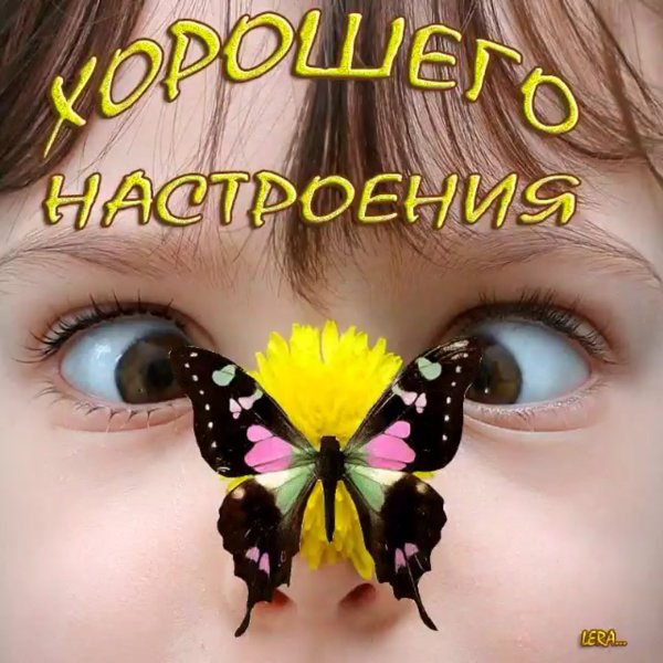 Новый год уже на носу