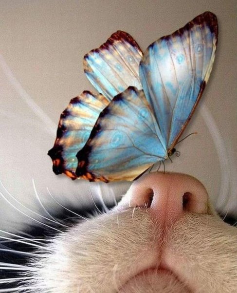 Весна на носу