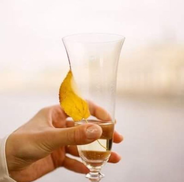 Допили осень откупорим зиму