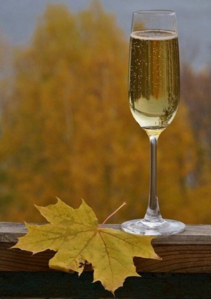 Фужер с осенними листьями