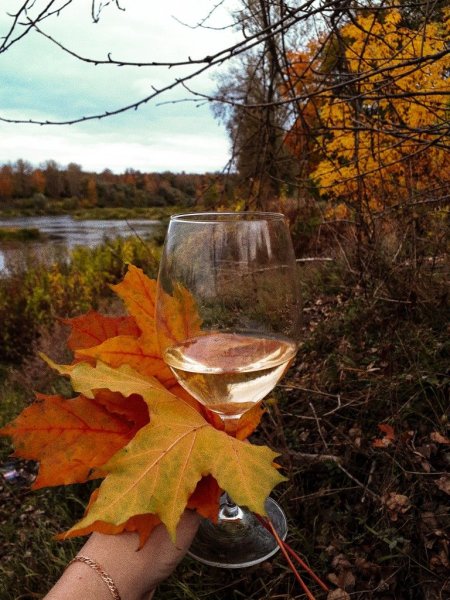 Весну мы выпили до дна.ну что ж.мы раскупорим лето