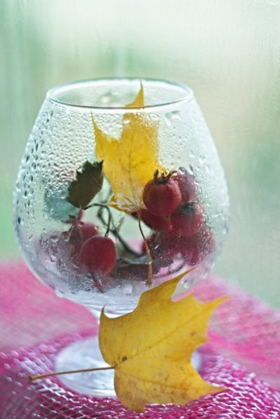 Осень в бокале