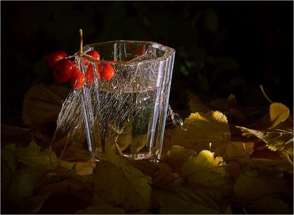 Осень в бокале