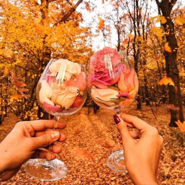 Раскупорим осень